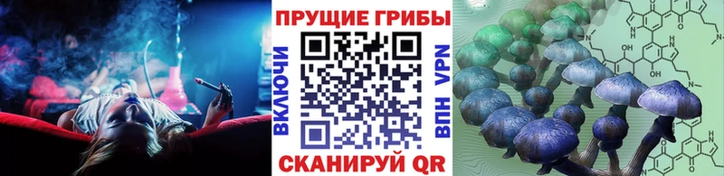 Галлюциногенные грибы Psilocybine cubensis  hydra зеркало  Бокситогорск 